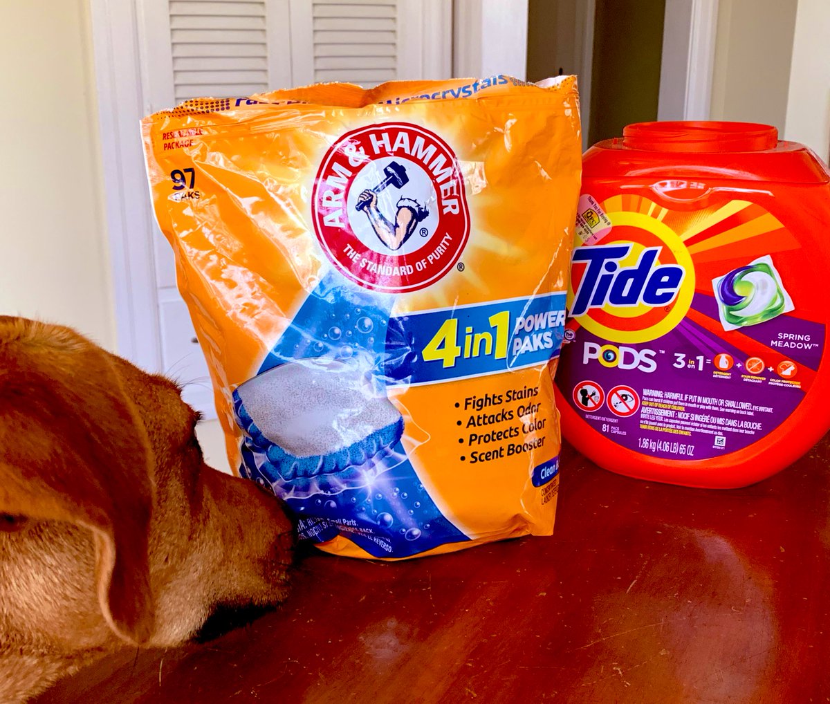 devinher's tweet photo. Sorry @ProcterGamble, I don’t support brands that fund hate and lies. No more @tide for me after decades of loyalty. Bye! #BoycottFoxAdvertisers #FoxFreeFriday https://t.co/RQnKS2f4oC