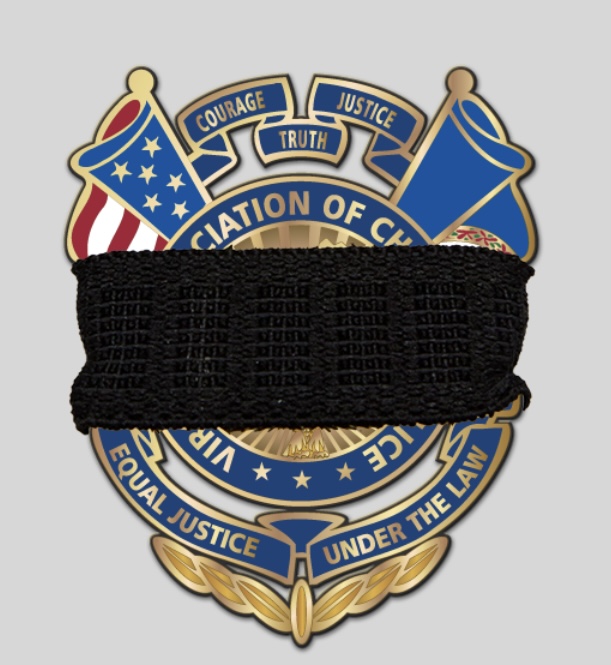 ArmorExpress's tweet image. 