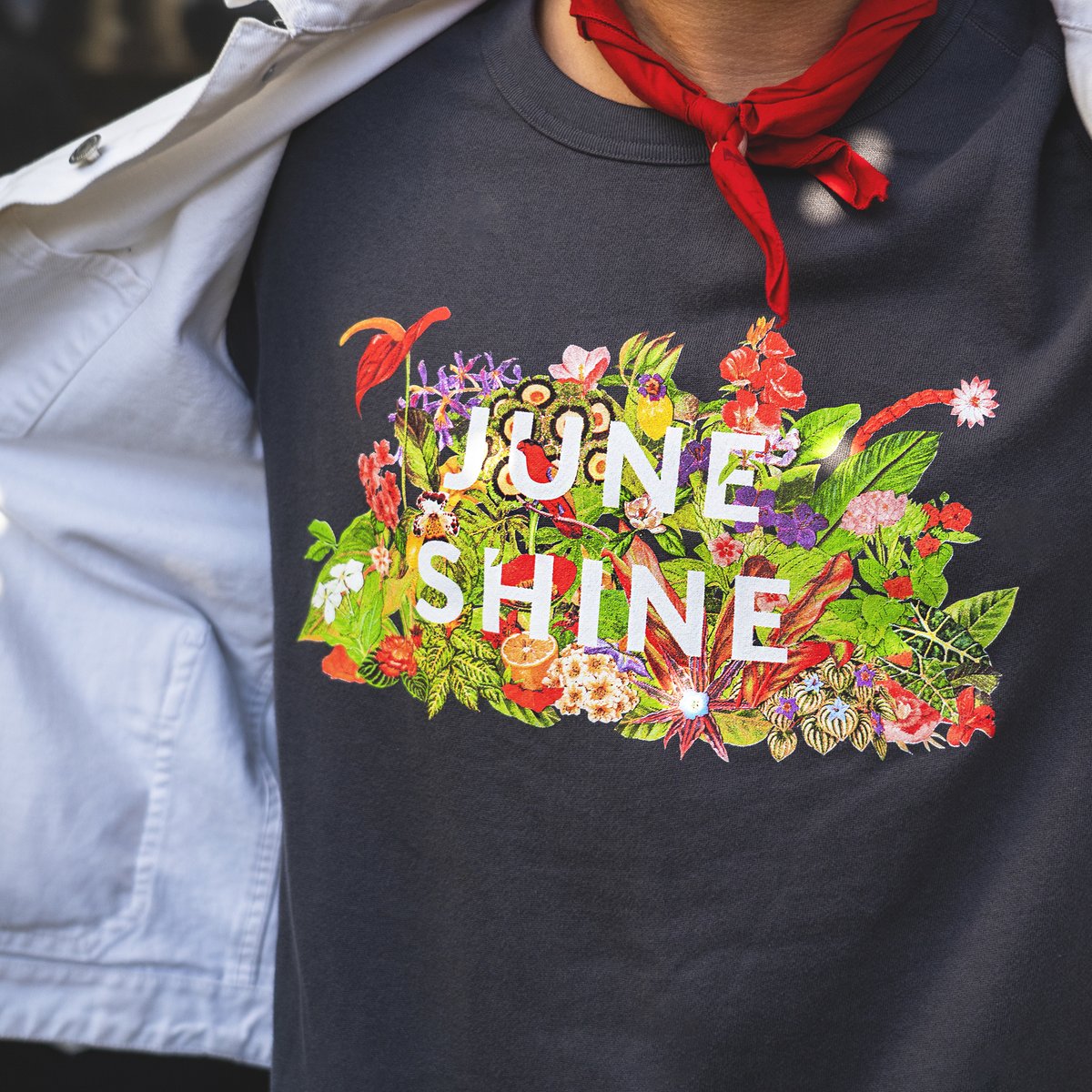 JuneShineCo's tweet photo. Layer season wont be around forever! Rock the lemonade jungle: JuneShine X #MonsterRally Sweatshirt—featuring a gorgeous 8-color screened scene from artist, musician and JuneShine ambassador @tedfeighan. Available exclusively at https://t.co/vV8N5Zt1lr https://t.co/KBxfG51VIX