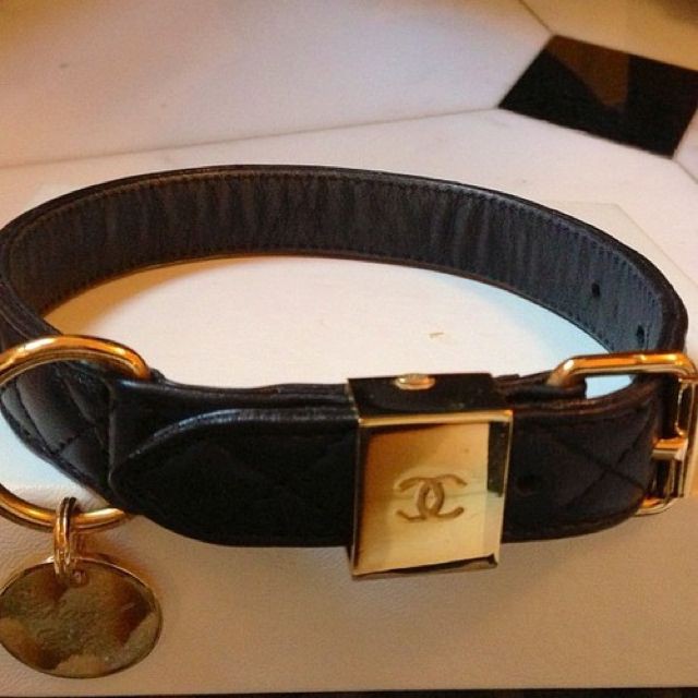 JnginB's tweet photo. @JxnnieKimB @theBlckSwxn @SwxnPrncss @ChoiYunye_B —Ademas no podían llegar con las manos vacías a la fiesta, por lo que compran un collar y una correa de sus marcas favoritas, para dársela de regalo a Coco.— https://t.co/YjyVGUAXpW