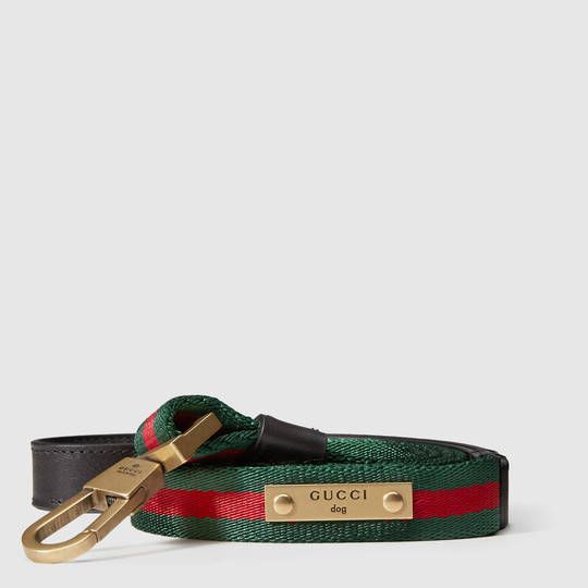 JnginB's tweet photo. @JxnnieKimB @theBlckSwxn @SwxnPrncss @ChoiYunye_B —Ademas no podían llegar con las manos vacías a la fiesta, por lo que compran un collar y una correa de sus marcas favoritas, para dársela de regalo a Coco.— https://t.co/YjyVGUAXpW