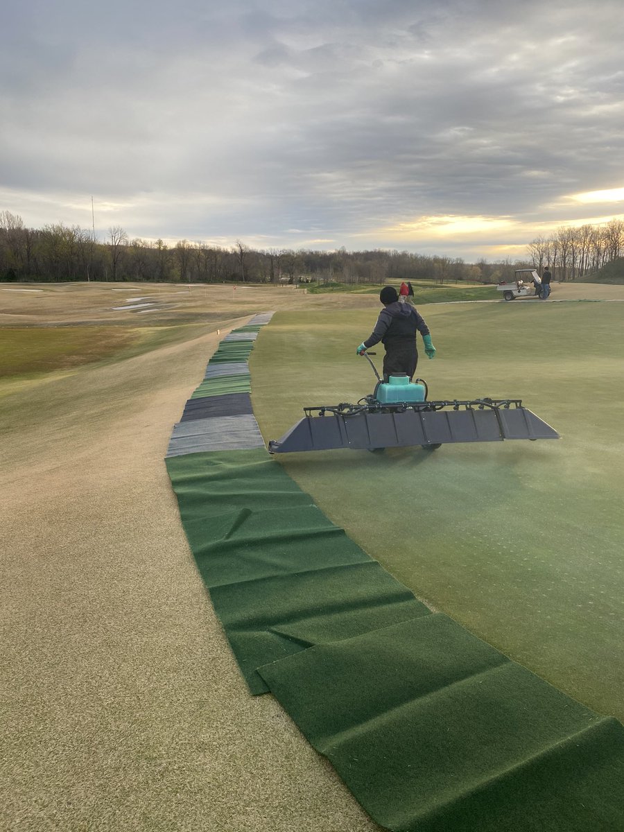 RedHatTurf's tweet photo. To make spraying greens more fun we increase the complexity by laying utility carpet to protect the zoysia collars from DMI fungicide regulation! I love my staff, hope they still love me🙂 https://t.co/fGK4pCUeMA