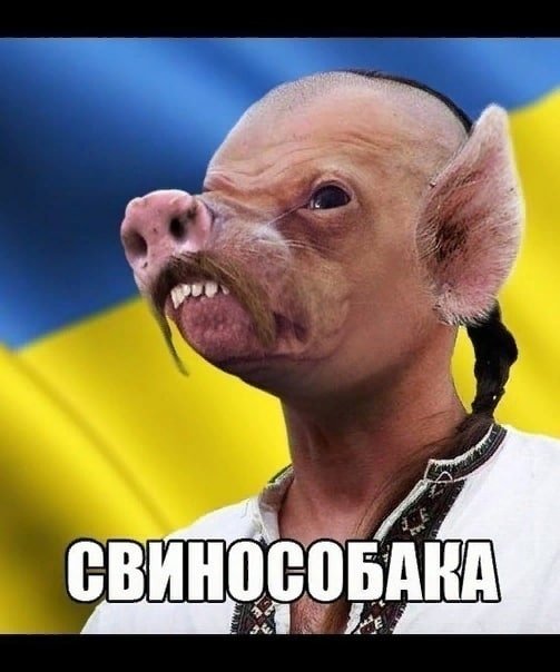 BasedWhiteguard's tweet photo. @futurecybernet @obsqurant @russkii_revolt @Burski404 @Nikolayrc @occupier00 @Andrey_Kostikov https://t.co/SX6NY3fv2a