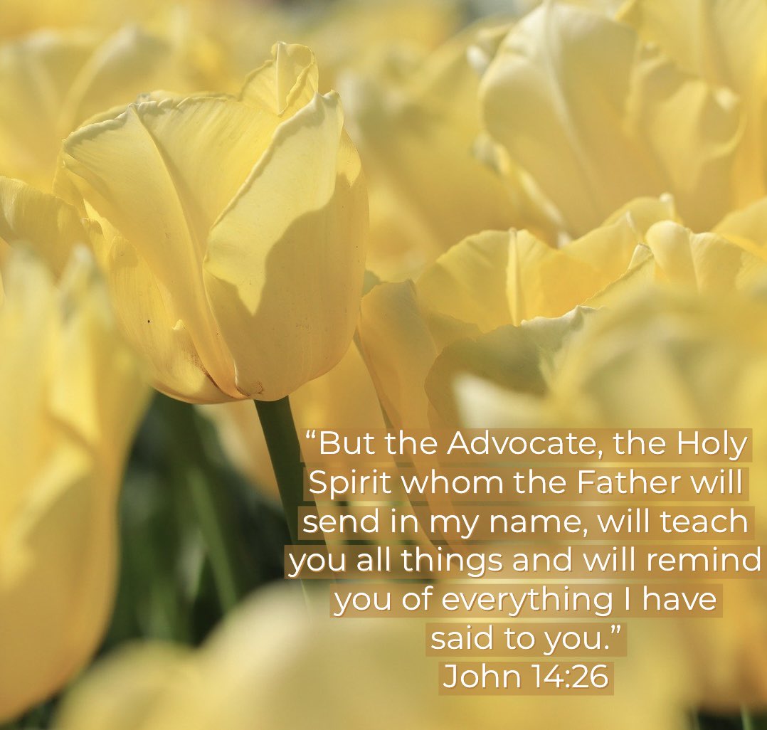 BibleStudyG's tweet photo. 2000 years later, we still have the words of Jesus that, through God's Spirit, will transform our lives and the lives of our families and our world. https://t.co/FrWz4rI3v7 https://t.co/0W87BkjSAz
