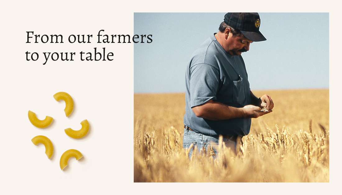 From our farmers across the Great Northern Plains to our rigorous inspection process, we simply want you to feel good about what you bring to your family’s table. Read our Field to Fork story for more. dreamfieldsfoods.com/field-to-fork