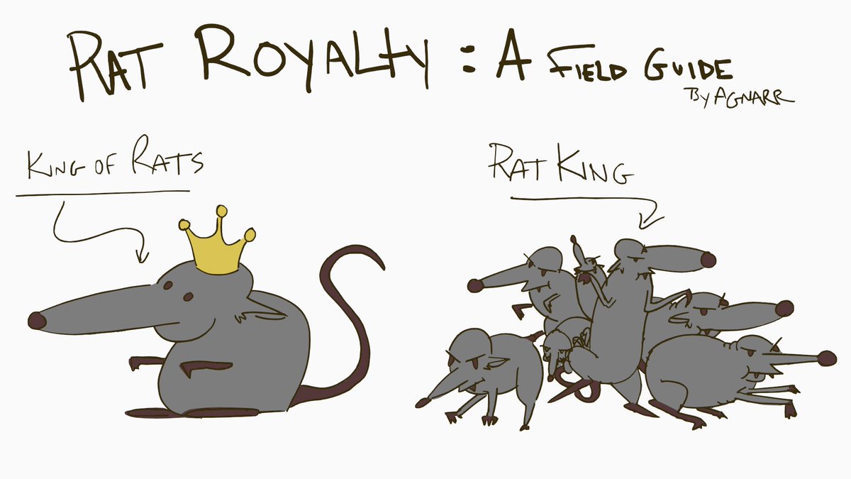 TheRealAgneezy's tweet photo. just in case it comes up again #doodle #dnd https://t.co/oArLAhEYN4