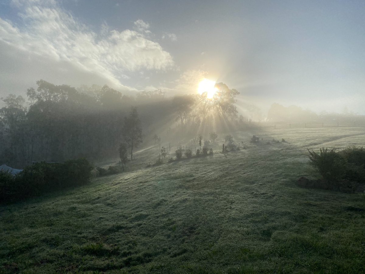 crankymate's tweet image. Sunrise over the ridge #nofilter #howstheserenity #bucolic