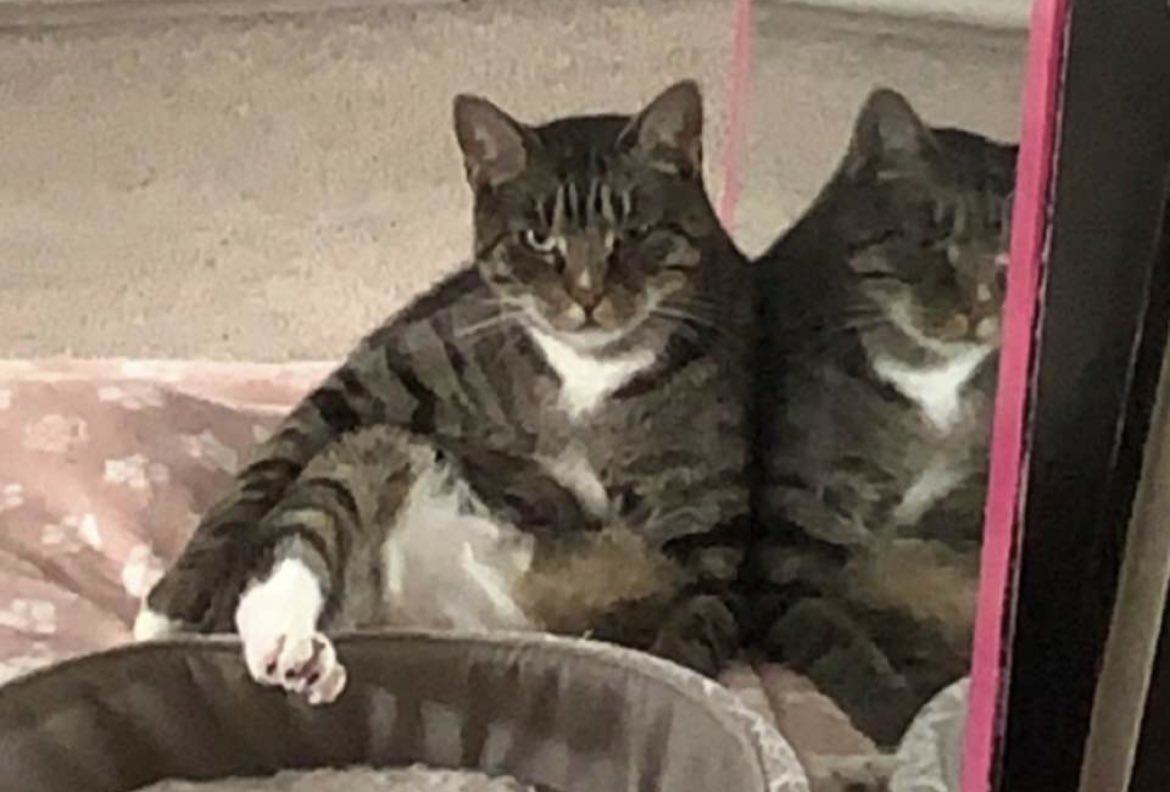 squishy||curb stop me tweet media