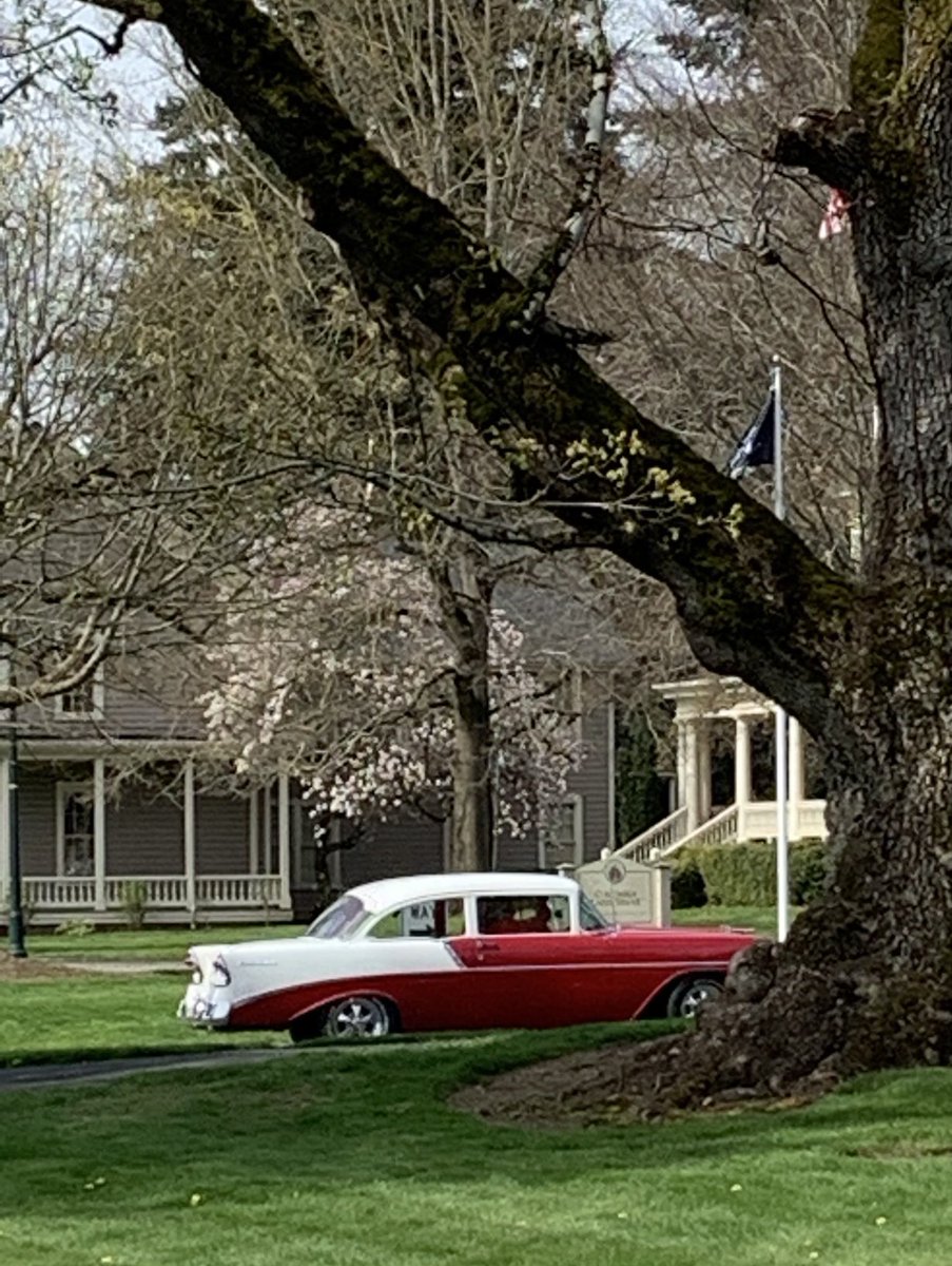 NancyPettit's tweet photo. Another fine’55 Chevy #PNW #whereiwalk #ilikeclassiccars #officersrow #VanWA 🇺🇸 https://t.co/G4C5gvfDZO