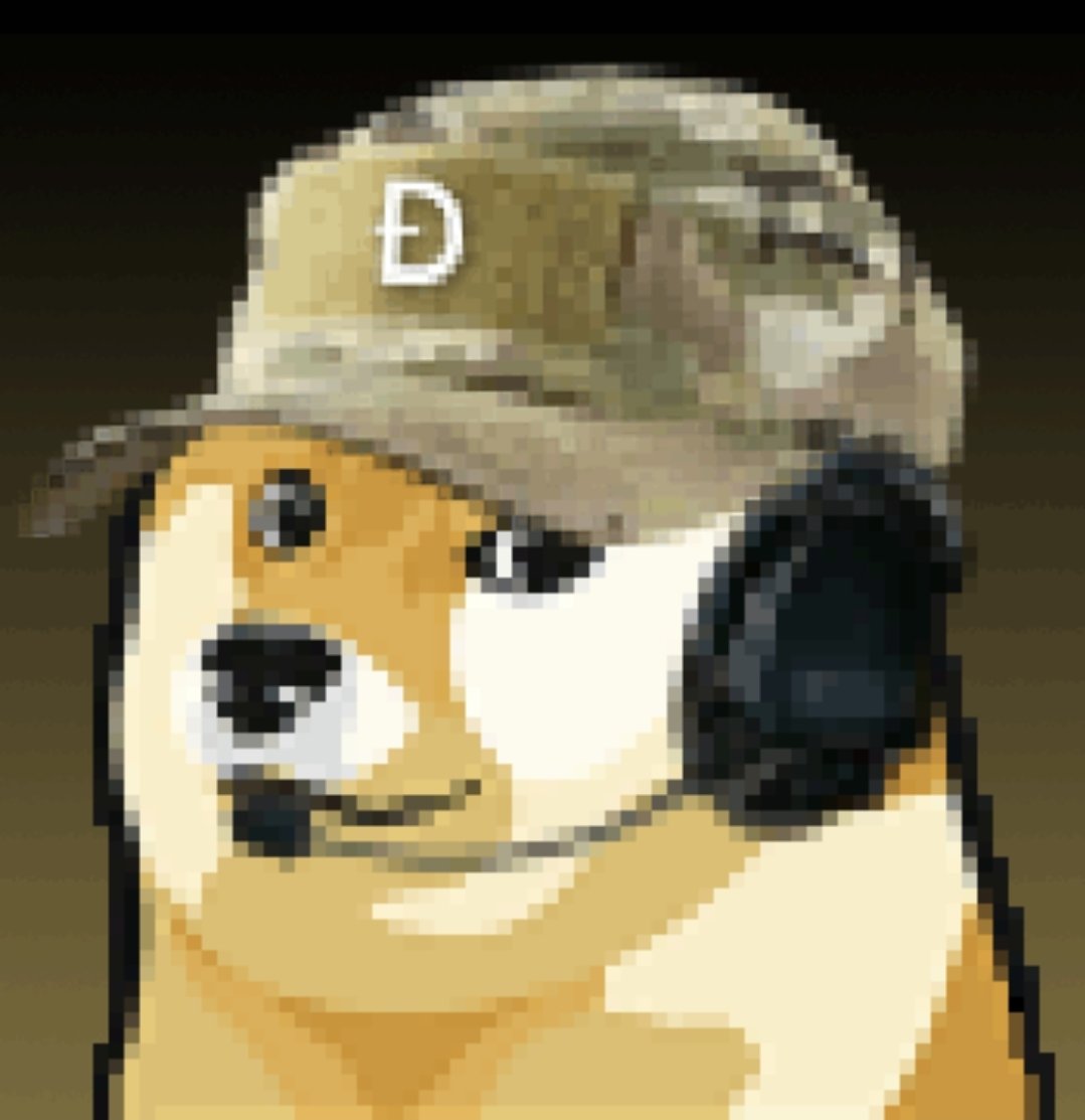 PunksDolls's tweet photo. 🚀 Time to #dogecoin 🐶 #doge #NFTdrop #NFTartists #CryptoNews #cryptoartist #BTC https://t.co/QNFMfAr3fO