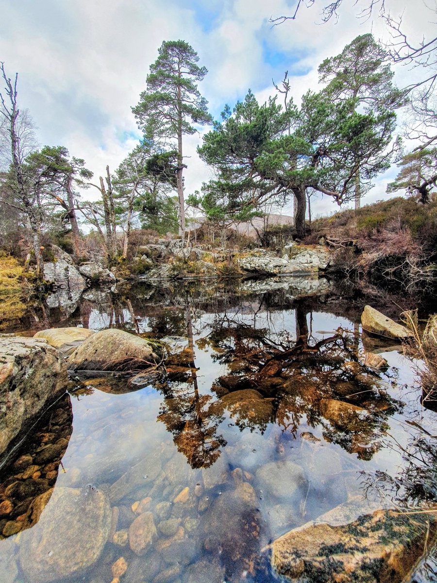 YPPsych's tweet photo. #ReflectiveSpace
#Highlands
#Lockdownwalk
#StayLocal
#WonderWanderRambleRoam #ConnectingwithNature #BeStillFindBeauty https://t.co/HjnqEgHU7A