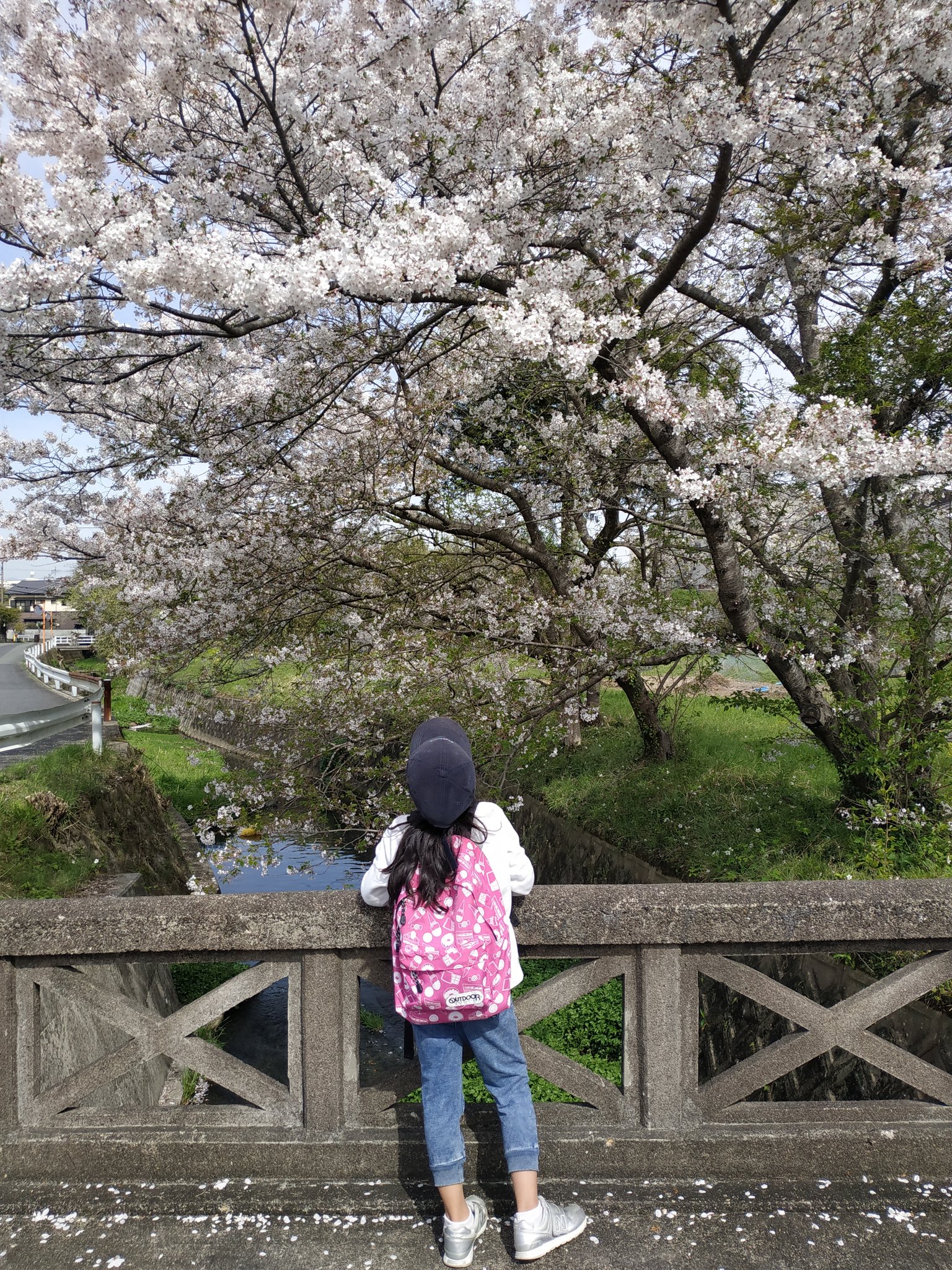 れんげの花かんむり Twitter Search Twitter