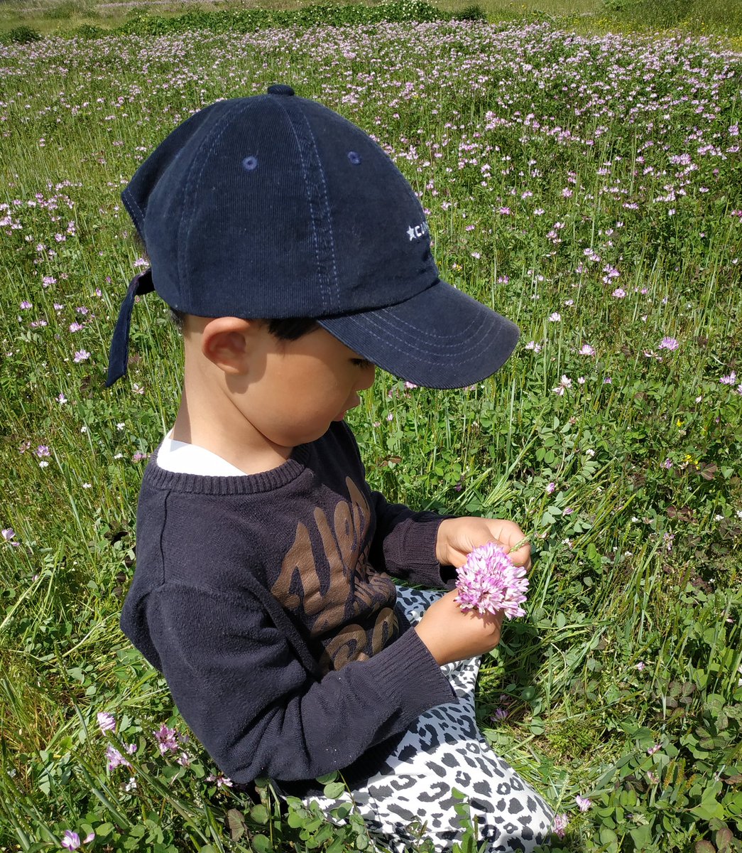 れんげの花かんむり れんげの花かんむり