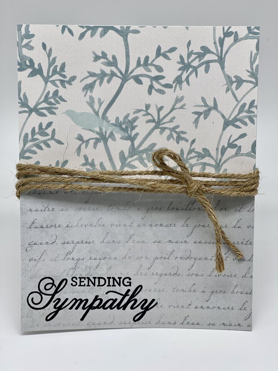 EndlessJens's tweet photo. Excited to share this item from my #etsy shop: Birds of Sympathy #sosorry #birds #sendingsympathy #sympathy #greetingcards #smallbusiness #custom #handmade #jensendlessoccasions https://t.co/0tCLmIgEsK
#etsyhandmade #etsygifts #etsyfinds #etsyshop #etsyshopowner #etsysocial https://t.co/WAjOgzVUZ1