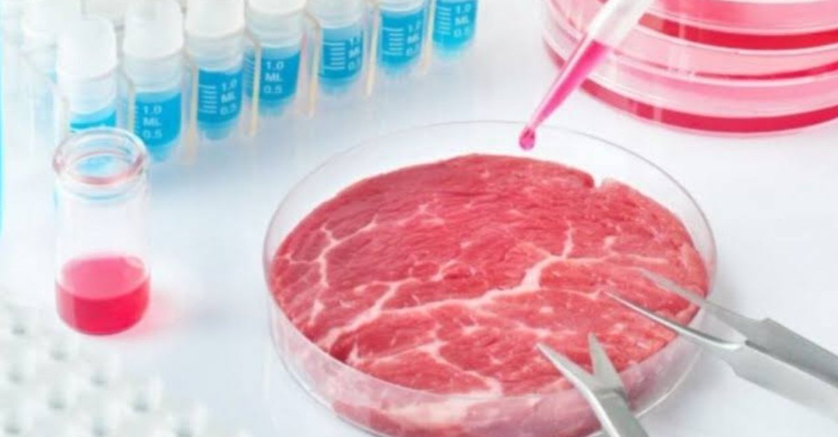 Ve gene bir takım öncüler
Halkları
Güya
Yüceltilmeye götürüldüklerine inandırıyor

Yapma  felaket
Ama
Doğalmış algısı
__
Ey insanlar, yeryüzündeki nimetlerimden helal ve temiz olmak şartıyla yiyin;
fakat şeytanın adımlarına uymayın
Çünkü o sizin açık bir düşmanınızdır

Bakara 168