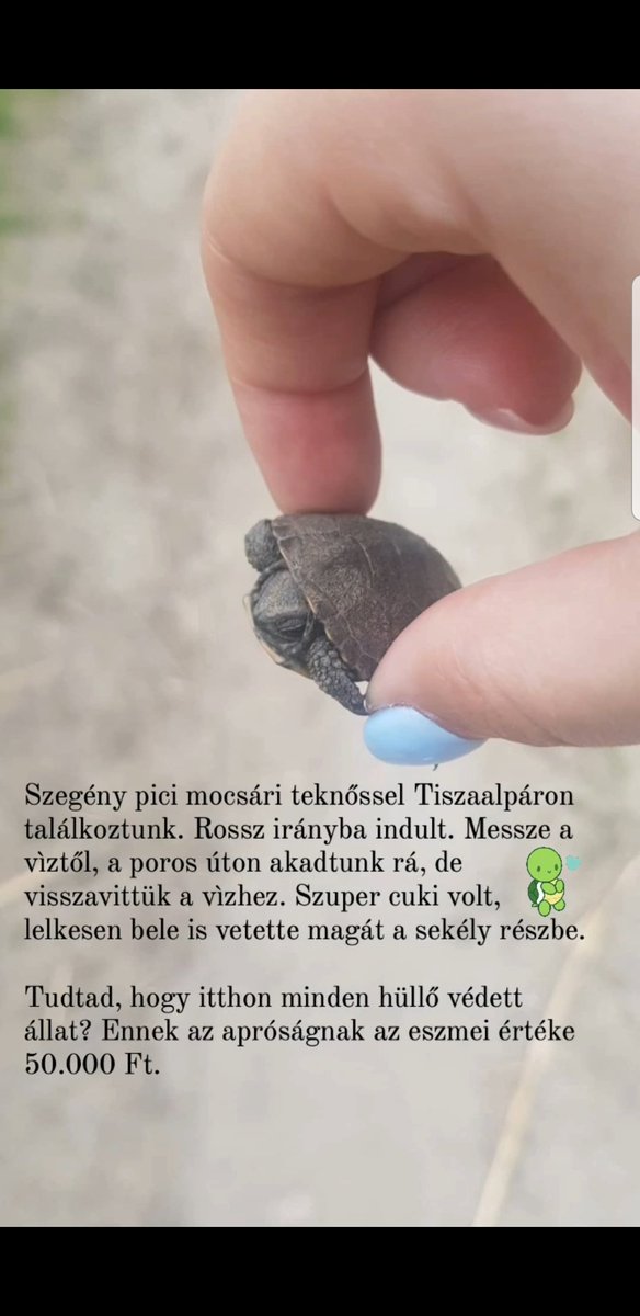 pénisznövelő készülékek