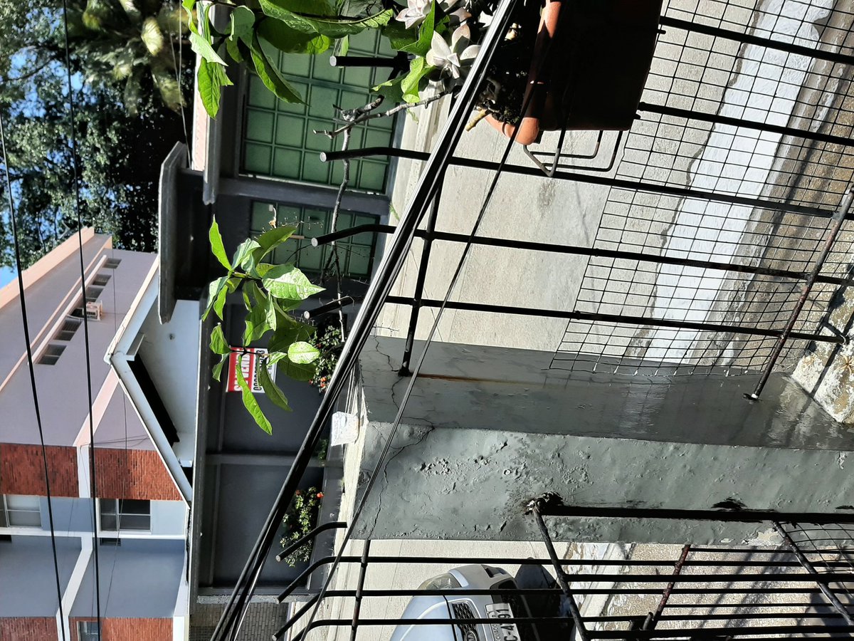 EJGR321's tweet photo. Srs. @NetlifeEcuador @tvcableguayaqui hace + de 15 días #Cnel cambio el poste de luz fuera de mi casa y les he pedido a ustedes qie vengan a levantar sus cables que ya casi están en mi patio de no tener respuesta de ustedes me tocara cortarlos y el probl.  es para ustedes no mio https://t.co/7GxRPbzfv6