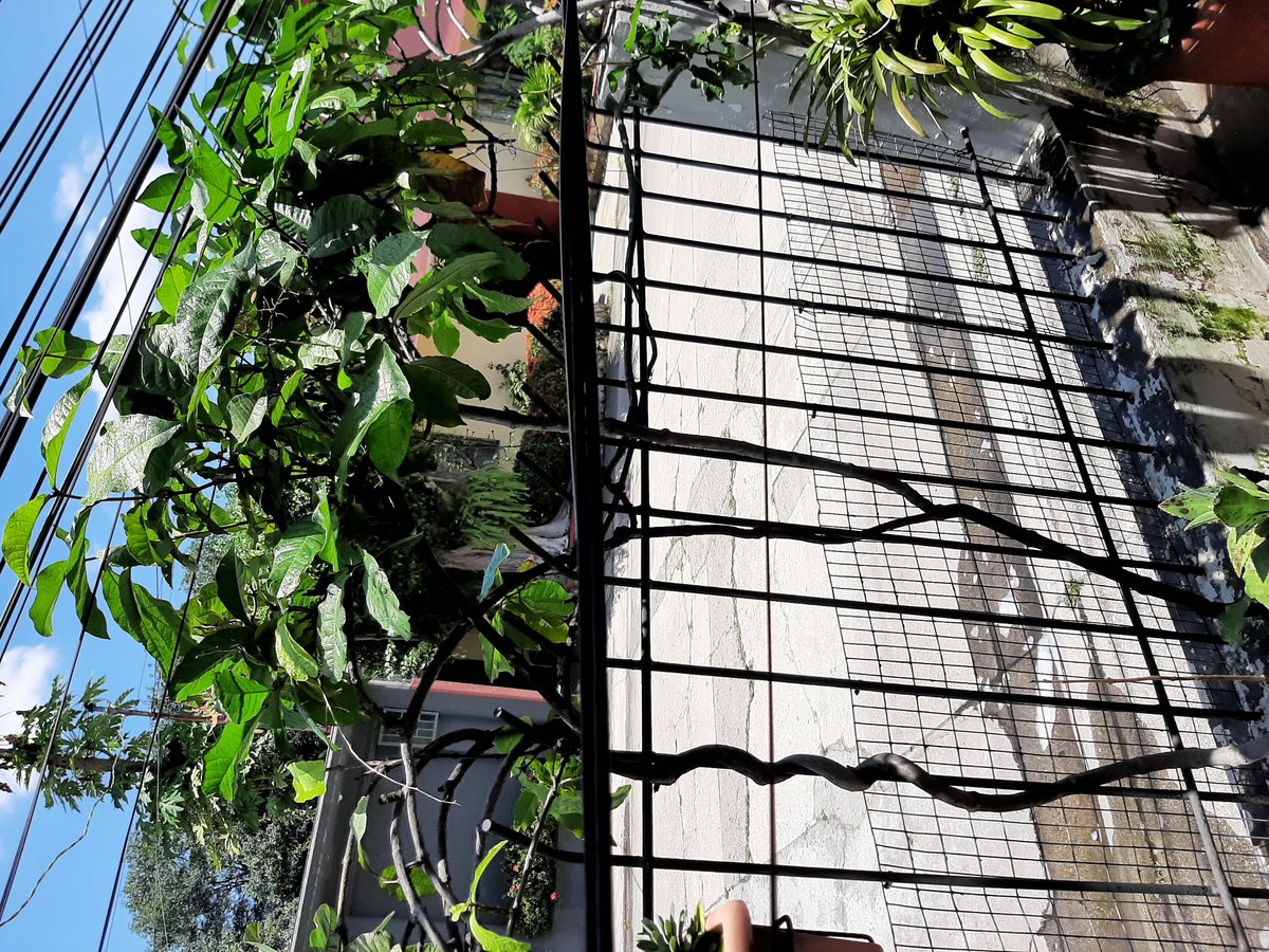 EJGR321's tweet photo. Srs. @NetlifeEcuador @tvcableguayaqui hace + de 15 días #Cnel cambio el poste de luz fuera de mi casa y les he pedido a ustedes qie vengan a levantar sus cables que ya casi están en mi patio de no tener respuesta de ustedes me tocara cortarlos y el probl.  es para ustedes no mio https://t.co/7GxRPbzfv6
