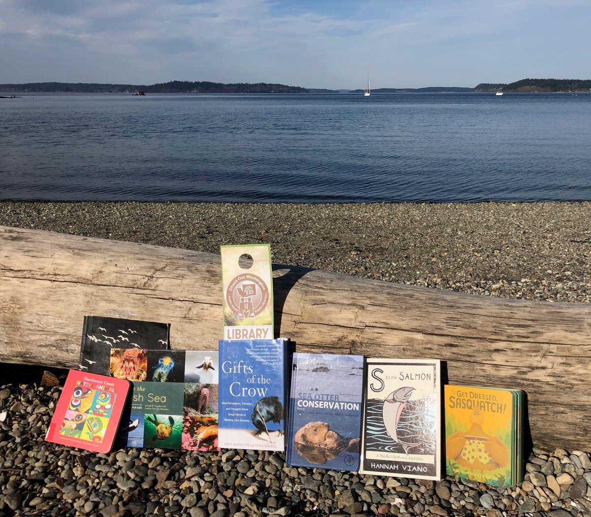 WAStateLib's tweet photo. Join the @WALIBASSN & the WSL in celebrating #LibrarySnapshot Week, April 4-10, 2021, a full week of advocacy for our libraries, archives, & special collections across the state! Share stories and pics of your staff, collections, projects & more!
https://t.co/f11z7rD23Y https://t.co/L2KEmAfh6Y