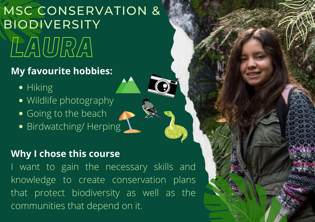 ConBiodivMSc's tweet image. Introducing the @ConBiodivMSc team! 🍃

I’m @LauraPirateque 

-A Colombian biologist interested in conservation and work with communities  
-I love birding🐦, herping 🐍, hiking ⛰️, and photography 📸. 
-Excited to share my experience as a Biosciences student at @UniExeCornwall