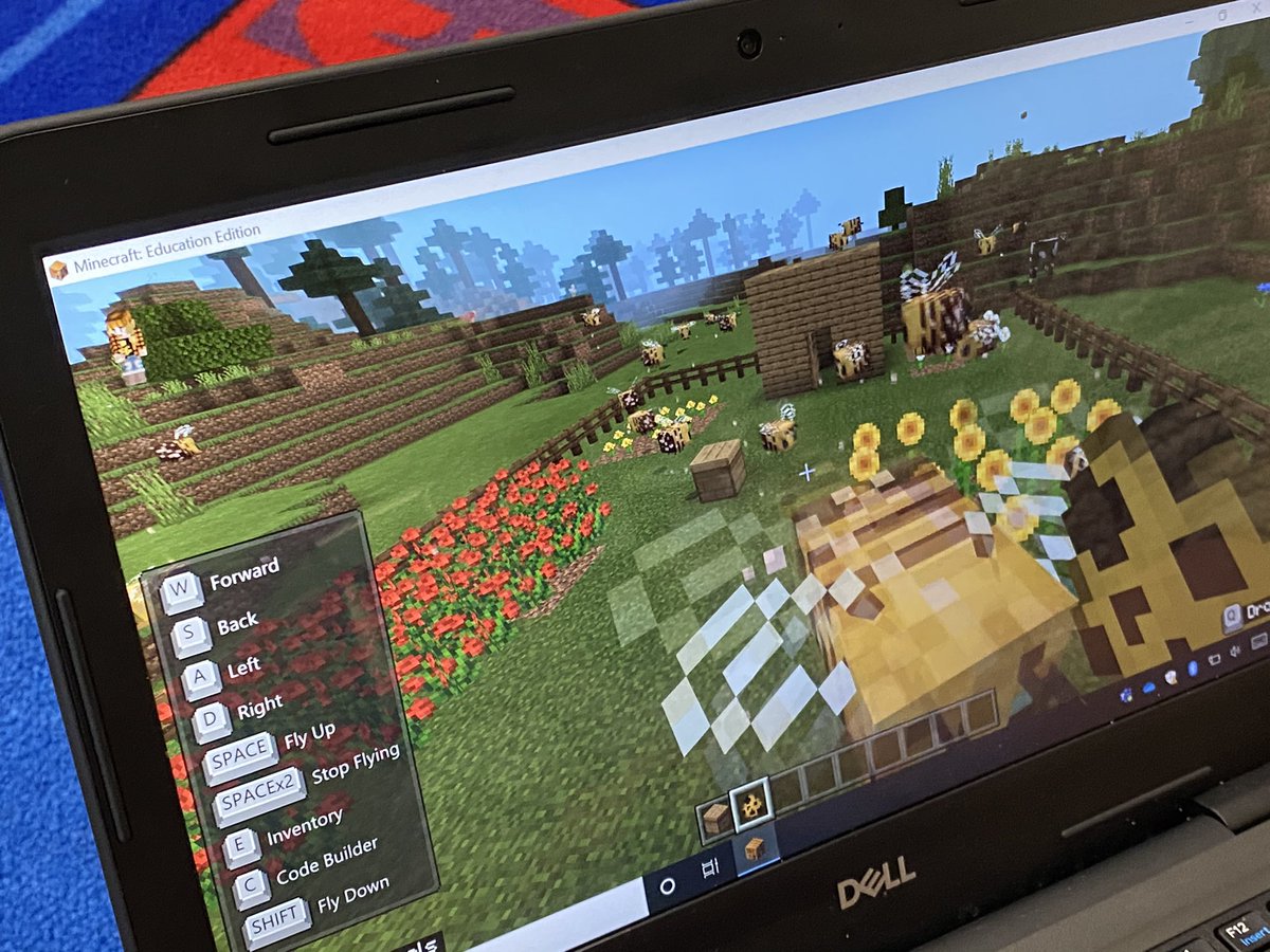 SBSullivan9's tweet photo. Building pollinator gardens in Minecraft #belmontstem #savethebees #givebeesachance https://t.co/6XdMRDN4LT