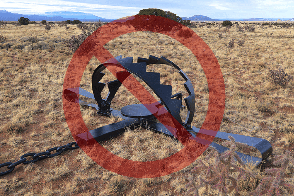 wildearthguard's tweet photo. Great news: New Mexico is just one signature away from trap-free #publiclands! Ask Governor Lujan Grisham to sign #RoxysLaw making public lands in New Mexico free from dangerous and indiscriminate traps, snares and poisons: https://t.co/n0tVuRd1fp @TrapFreeNM #EndTheWarOnWildlife https://t.co/j4E5tZfi2P
