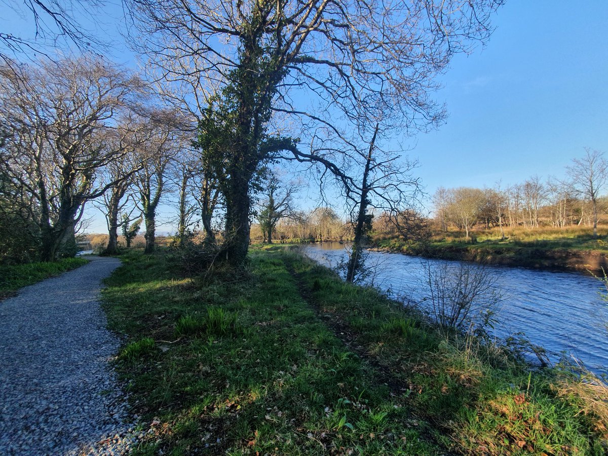 lyn_foley's tweet photo. #riverduffwalk #duffriverwalk #leitrim #Sligo #Ireland https://t.co/gAfAyBp6hV