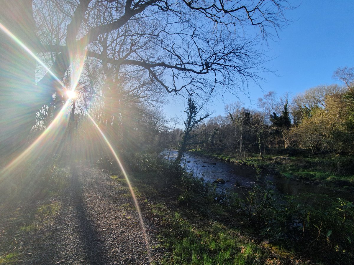 lyn_foley's tweet photo. #riverduffwalk #duffriverwalk #leitrim #Sligo #Ireland https://t.co/gAfAyBp6hV