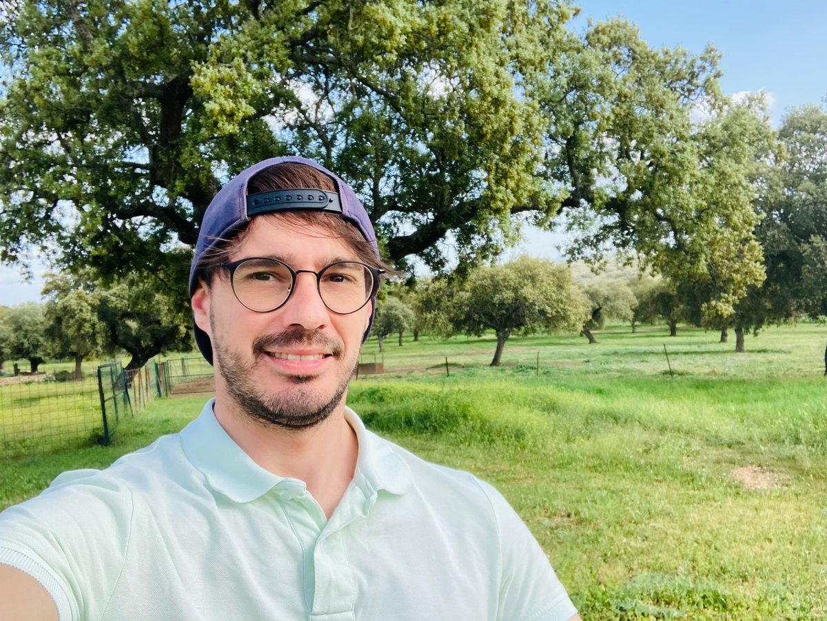 DavidGlezWell's tweet image. No tiene cerezos pero, qué bonita está la #SierraDeSanPedro #jara #escoba #Cáceres