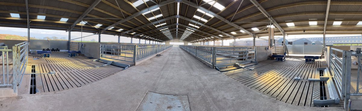 Fullwoodhead's tweet photo. 🐄☀️ Roundbush Roped Up!☀️🐄

@DairyPowerEquip Rope Scrapers fitted to this fantastic new heifer rearing shed for the Jamieson family at Roundbush Farm, Annan!
@McloughlinRhys 
#teamdairy #cowcomfort #SmartSlurry https://t.co/7ogg9J3Zib
