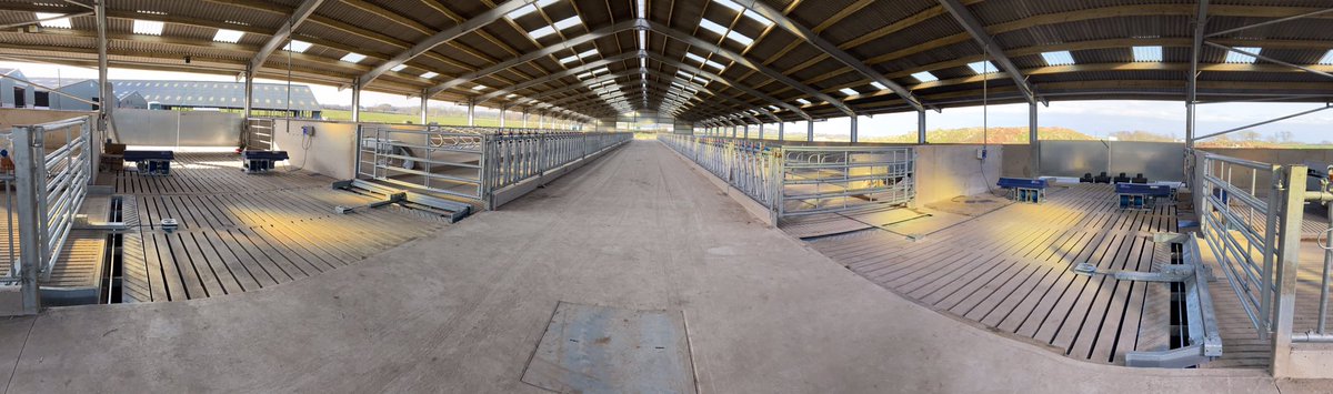 Fullwoodhead's tweet photo. 🐄☀️ Roundbush Roped Up!☀️🐄

@DairyPowerEquip Rope Scrapers fitted to this fantastic new heifer rearing shed for the Jamieson family at Roundbush Farm, Annan!
@McloughlinRhys 
#teamdairy #cowcomfort #SmartSlurry https://t.co/7ogg9J3Zib