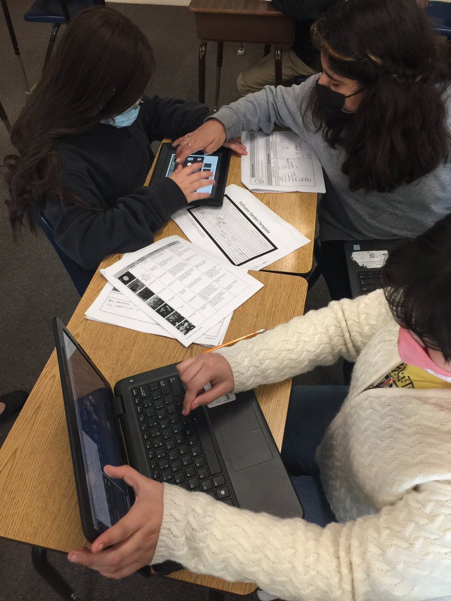 MLWeather's tweet photo. 5th Grade read Give Bees A Chance and now trying to create a pollinator garden to increase the productivity https://t.co/cH1SpSTmfk