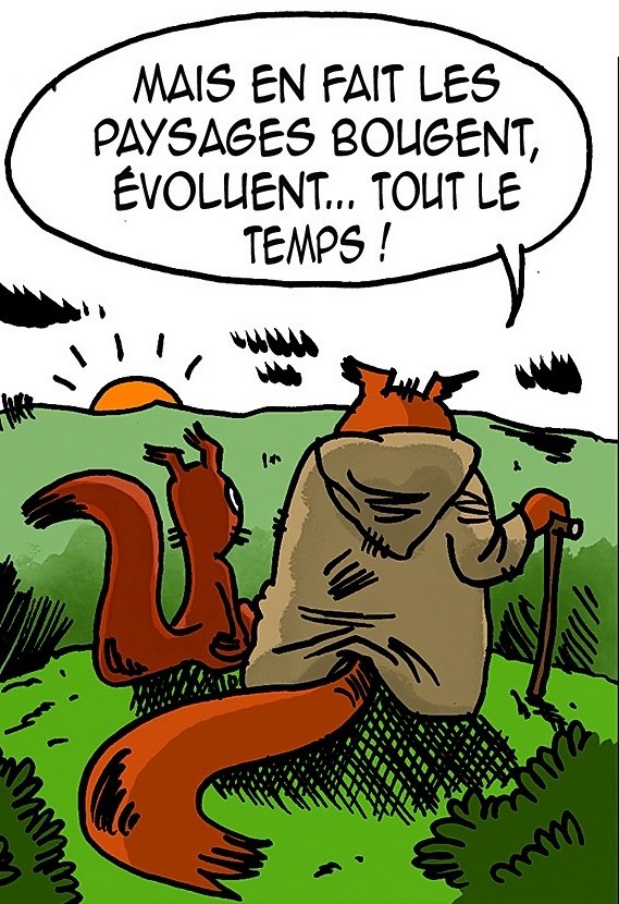 xarxaforestal's tweet photo. El bosc d'avui, resultat de la història:
@ONF_Officiel
https://t.co/p2PboHPdcp https://t.co/ZAPUloQgdV