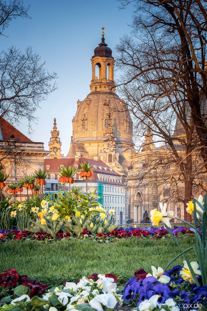 DDpix_de's tweet photo. #Frohe #Ostern wünscht #ddpix 😊🐣 https://t.co/onpoo4LCeE
