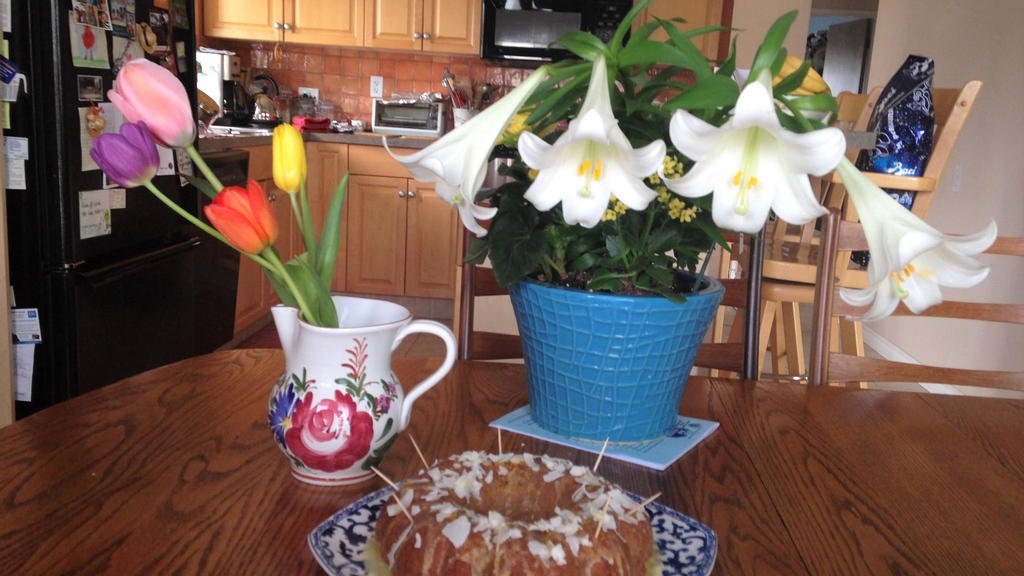 greengategarden's tweet photo. Celebrate this Easter with an Easter Lily! Brought to England from Japan in the 1700's, they adorn churches around the world on Easter Sunday as a symbol of purity, grace & new life. https://t.co/YmcCqgPGCb #yyceaster #easteryyc #bloomscrolling #flowersonfriday https://t.co/NR9BCYm0kA