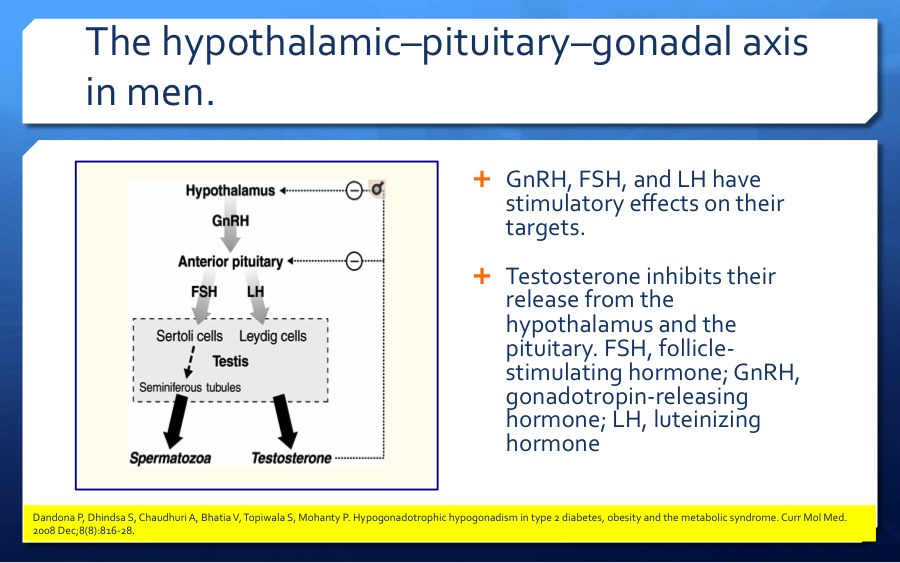 DrVinodEndo's tweet photo. The #HPGAxis in #Men @idrees_mubarik @drd1002 @GunjanGandhiUF @TaheriShahrad @serotonin219 @DrJagmohan2 @ruturaj9560 @SachinM21860553 @MaliniGuptaMD @endounotami https://t.co/GbyWMDt8IF