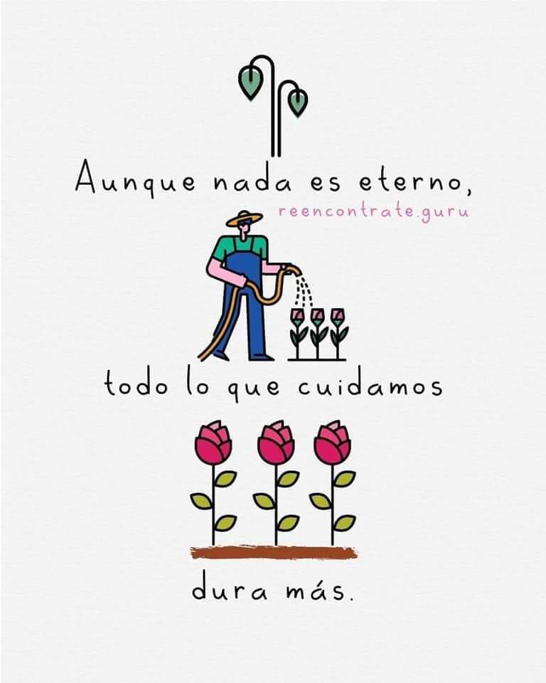 FrasesRealidad's tweet photo. Dura más ✨ https://t.co/ev0K8EXdiJ