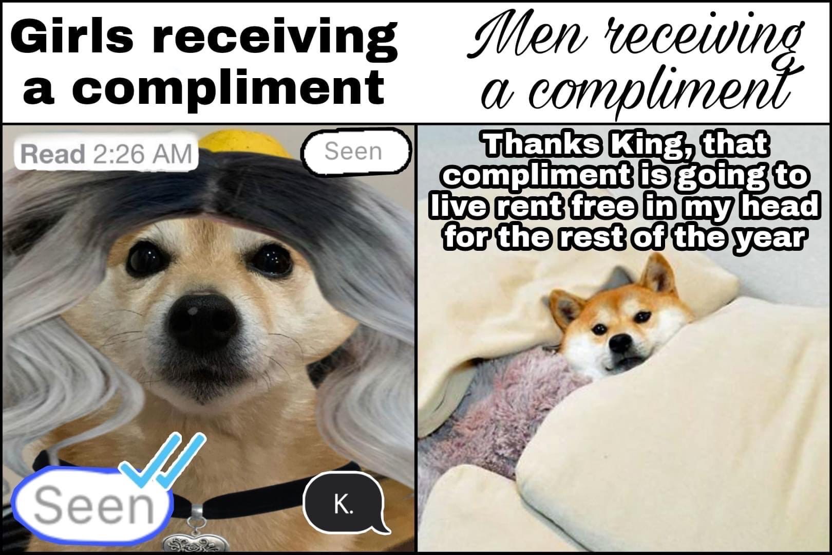 Ex_HpoLXAAAASXe?format=jpg&name=large