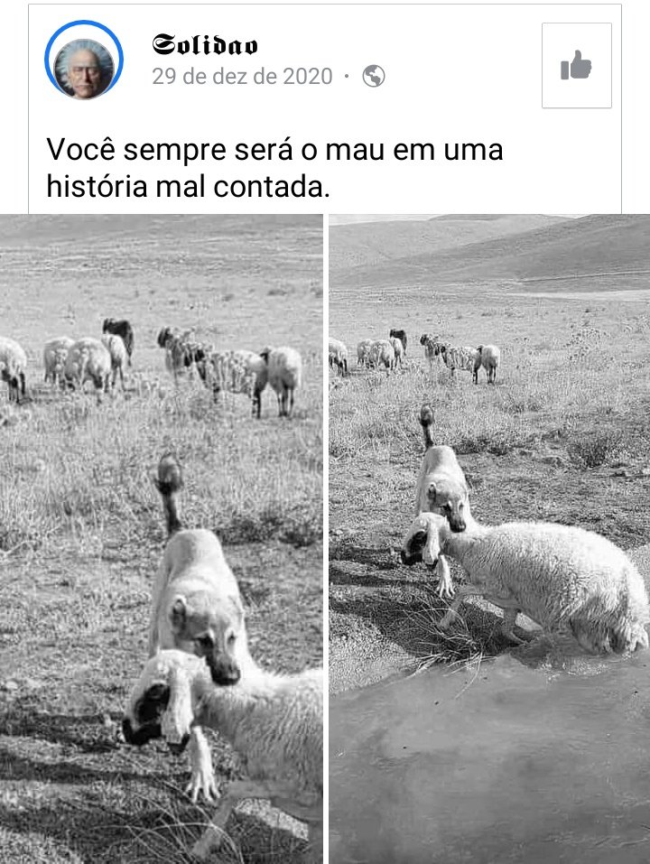 #FelizPascoa
#boatarde