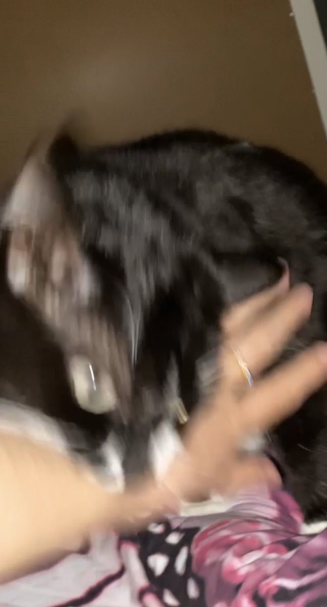 wixya tweet media