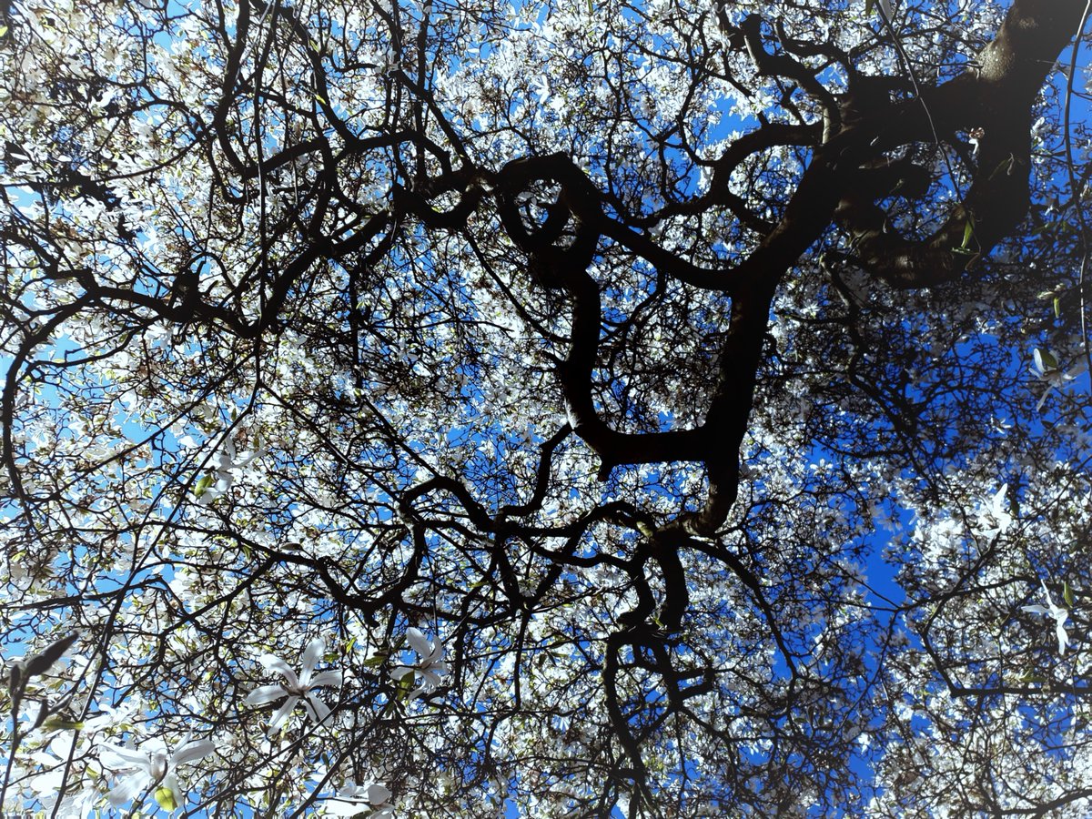 MusicUndine's tweet photo. all in °
dizzying https://t.co/yTVp2CtGHX