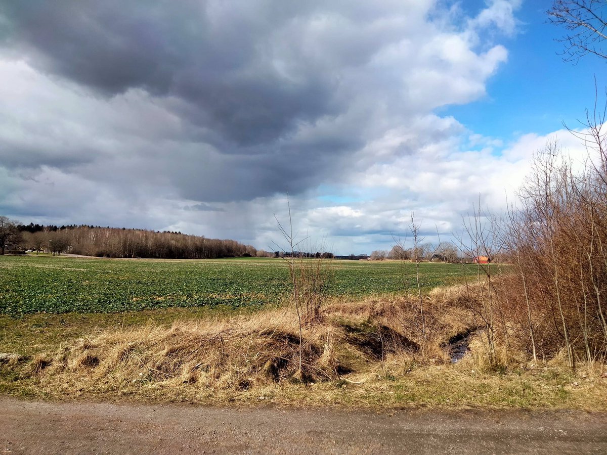 GeeraertsIndy's tweet photo. Zo énorm dankbaar dat ik in deze Zweedse natuur mag wandelen. #Sweden #Linköping #Erasmus #Hike https://t.co/GhMRLbT955