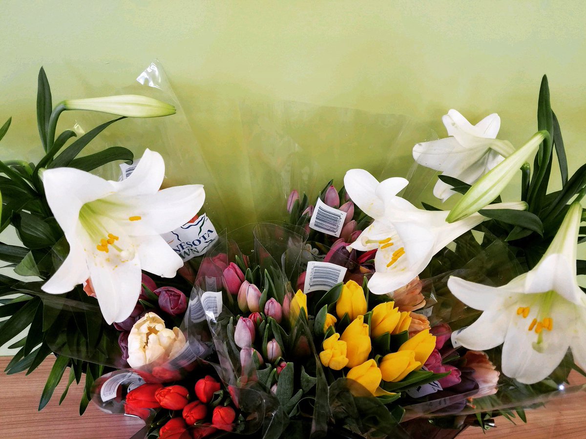 💐Reminder. Your mom loves to get flowers. 
Actually, who doesn’t like to get a bouquet?😍😃🥰
Bonus points if they’re grown in MN!
Bring home local lilies and tulips this Easter. Available at BCC!
#bluffcoop #winonacoop #firstflowers