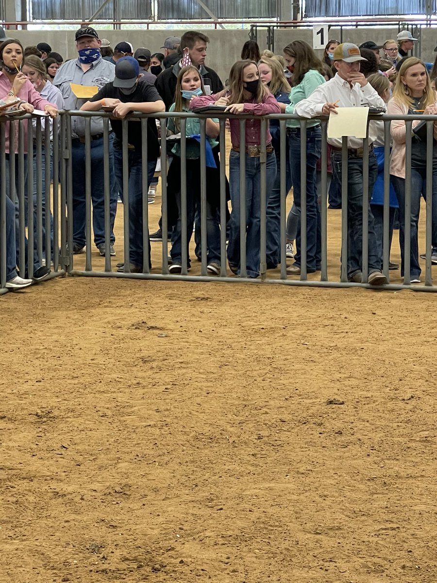 JimWard_MJH's tweet photo. Shout out to to the @MagnoliaWestFFA Livestock Judging Team!  They are the Champion Team for the Cleburne/Alvarado contest!  There were 83 teams competing!  In one week they went from 102 to 7th place on https://t.co/9Yfwrf7HC4!! https://t.co/ZDWPxLjzy5