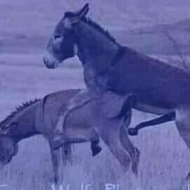 من يجي الان