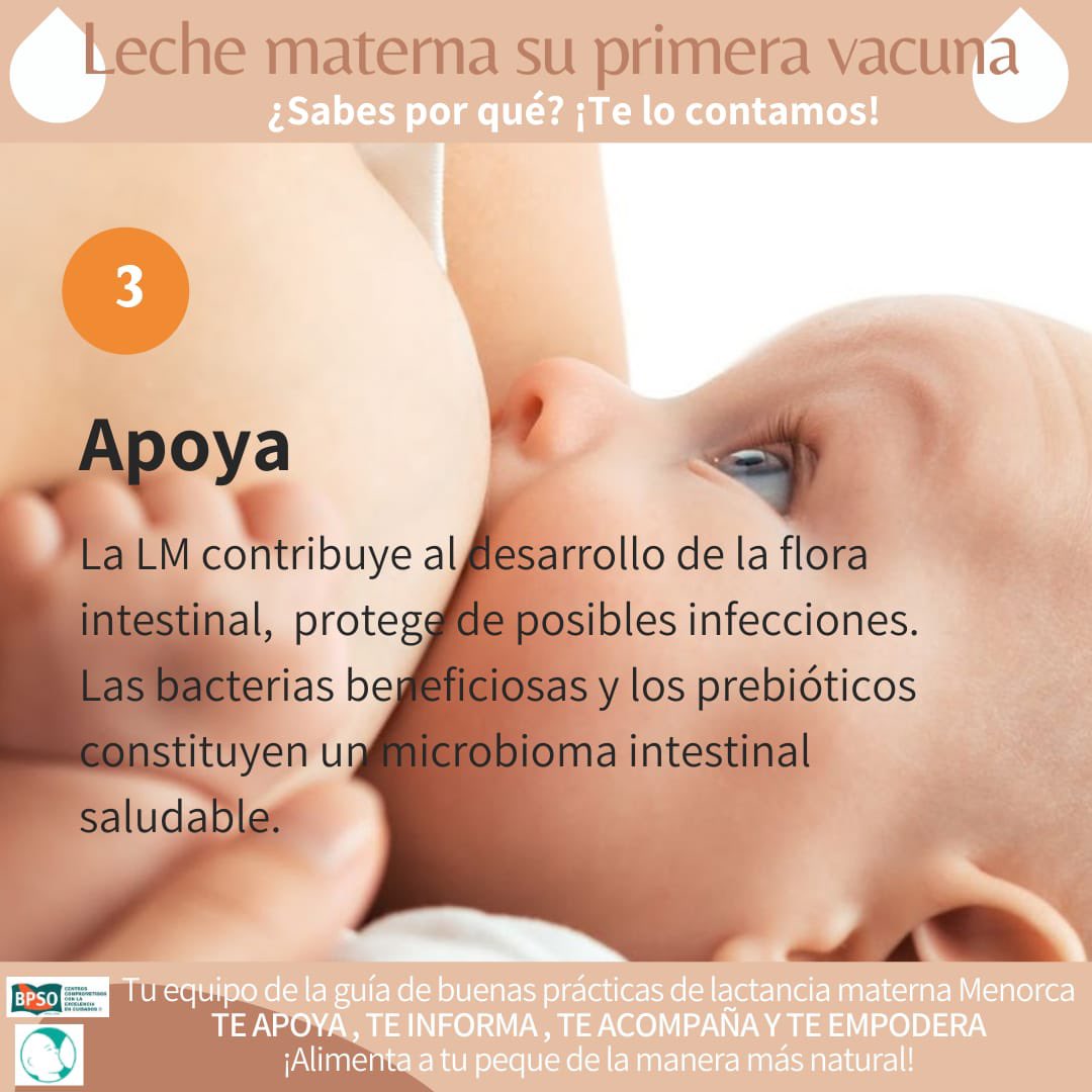 BPSOmenorcaIB's tweet photo. Los compañeros de GBP #LactanciaMaterna explican sus beneficios 👩‍🍼 #bpsobaleares #hospitalMateuOrfila #enfermeriavisible #enfermeriabaleares #BPSO @IhanEspana @bpsobalears @LactApp @ComaresB https://t.co/Yz9m3S3o0M