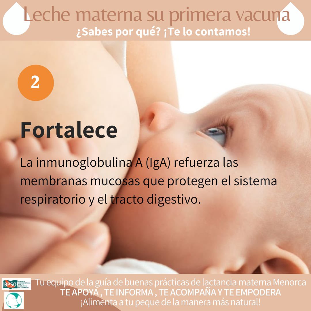 BPSOmenorcaIB's tweet photo. Los compañeros de GBP #LactanciaMaterna explican sus beneficios 👩‍🍼 #bpsobaleares #hospitalMateuOrfila #enfermeriavisible #enfermeriabaleares #BPSO @IhanEspana @bpsobalears @LactApp @ComaresB https://t.co/Yz9m3S3o0M