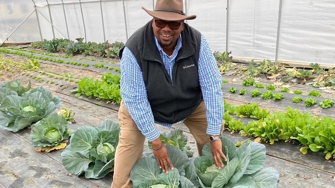 A man stands in a greenhouse with greens growing around him.