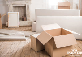 NoahsArkMovers's tweet photo. Noah's Ark Moving & Storage provides over 30 years of experience for just the purpose of packing services. We can pack anything supremely well! 203-221-8055
https://t.co/RICWlTpn6I
#PackingServicesCT #MovingCompany #Movers #MovingNYC #CTMoving #CtMovingCompany #WestportMovers https://t.co/Exc2GDqZhA