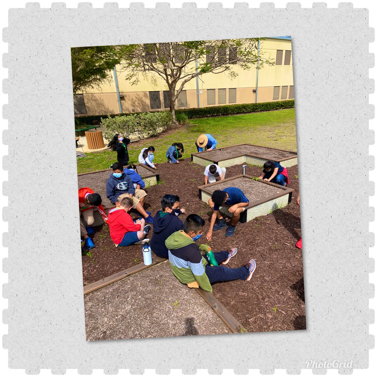 PSEfifthgrade's tweet photo. Getting our PSE garden ready for spring planting!! @ParksideWxSTEM @ParksideProud Thank you Mr. Ware for making science so fun!!! #weedingisfun https://t.co/gKmeQs6Iua
